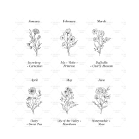 Houten kist XXL - Ontwerp 6