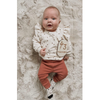 Mijlpaalkaarten geboorte