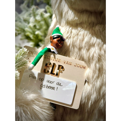 Elf on the Shelf - Berichtje