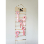 Rozetten hanger - Paardrijden